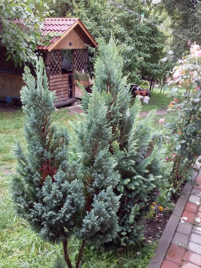 Apartamento Лісова Хатинка Kelechin Exterior foto